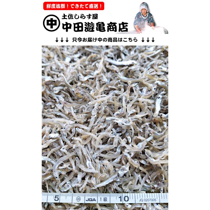 ちりめんじゃこ 1kg【お徳用・訳あり上干ちりめんじゃこ】※中サイズ