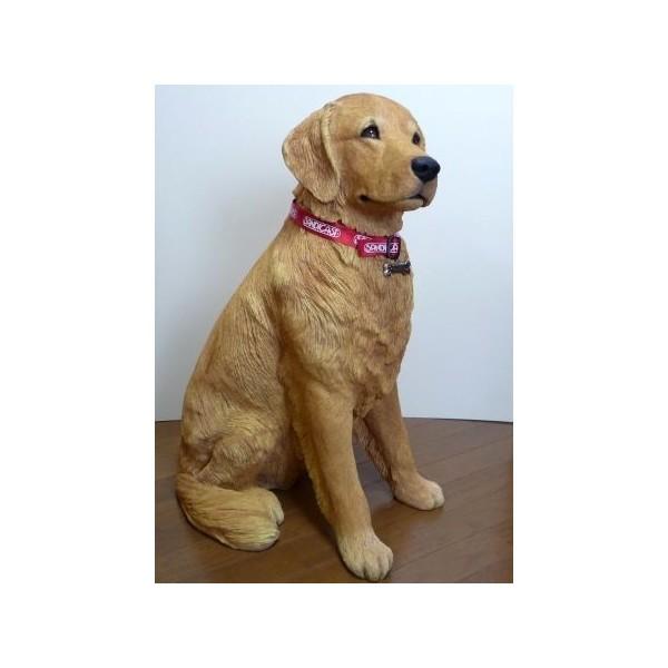 サンディキャストLS900/ゴールデンレトリバー（LLサイズ） : Online