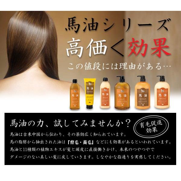 アズマ商事 馬油シャンプー・トリートメントセット＋詰め替え用