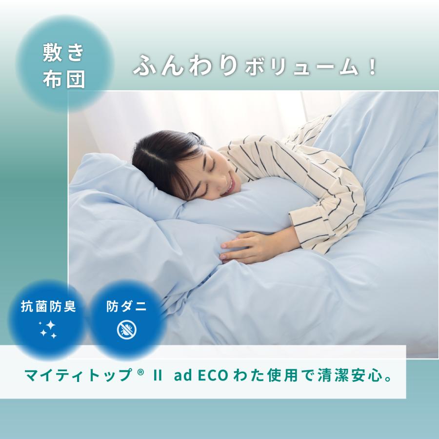 TEIJIN（テイジン） 布団セット 9点 ダブル 公式 抗菌 防臭 防ダニ