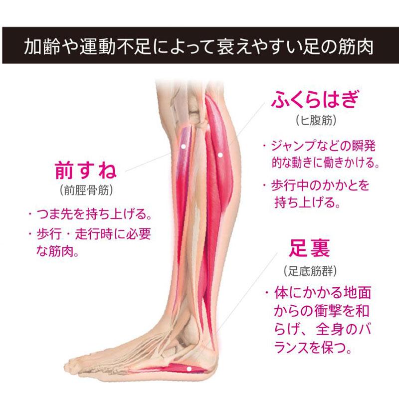 スリムパッド レグネス CL-HB-550 EMS 筋トレ ダイエット トレーニング