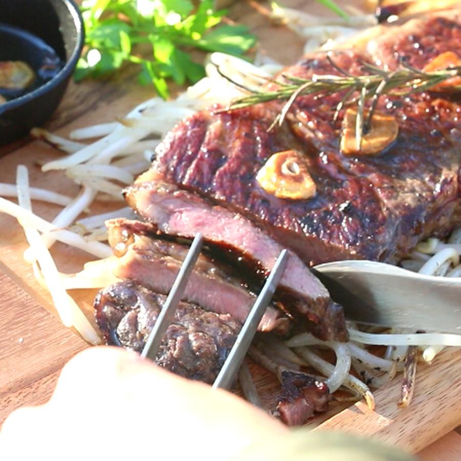 ZEOOR（ゼオール） コールマン クールステージテーブルトップグリル