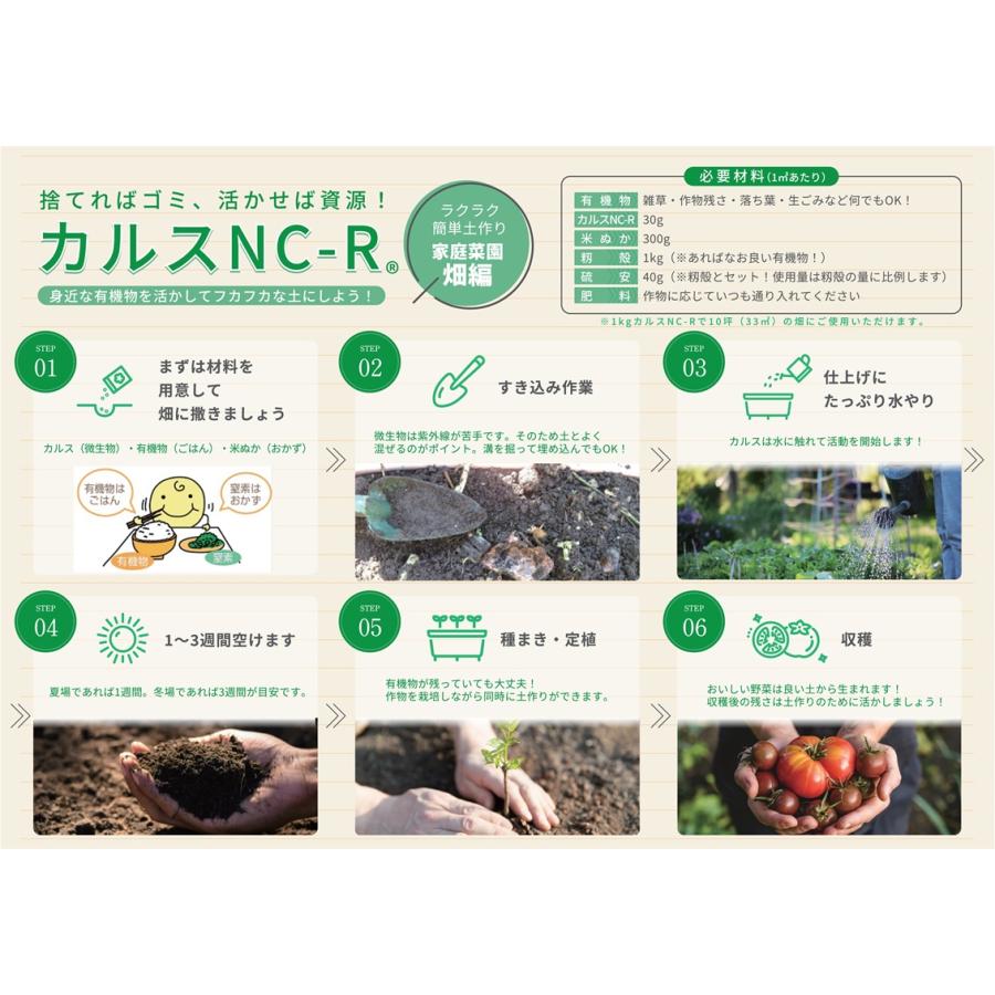 リサール酵産 カルスNC-R 1kg 粉状 チャック付き レターパックL : ザ