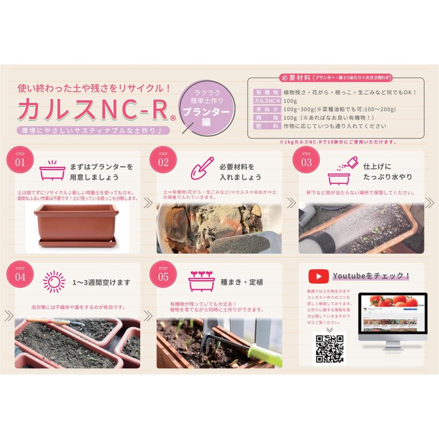 リサール酵産 カルスNC-R 1kg 粉状 チャック付き レターパックL : ザ