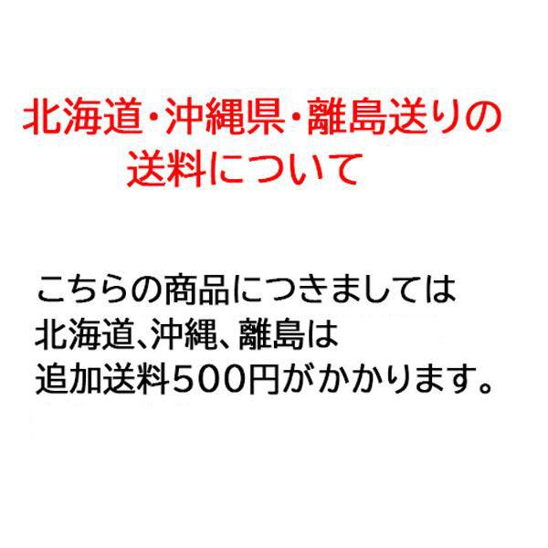 30本セット) 長芋栽培器 クレバーパイプ 105cm (止め具付) 長芋用 山芋