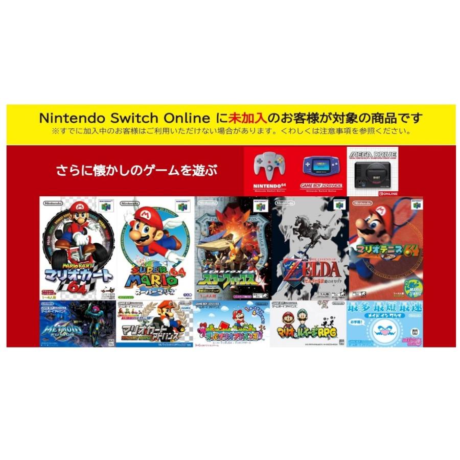 Nintendo Switch 63.Nintendo Online + 追加パック 個人プラン 12ヶ月