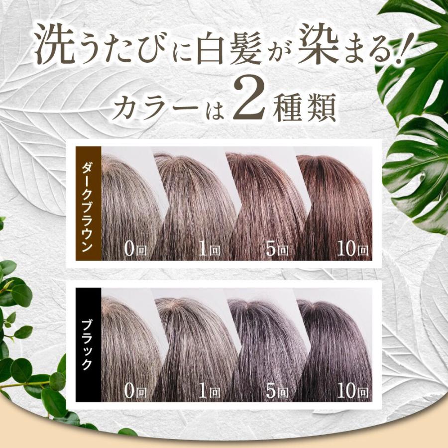 HAIR BEAUTE ECLAT 白髪染め シャンプー カラーシャンプー ヘアボーテ