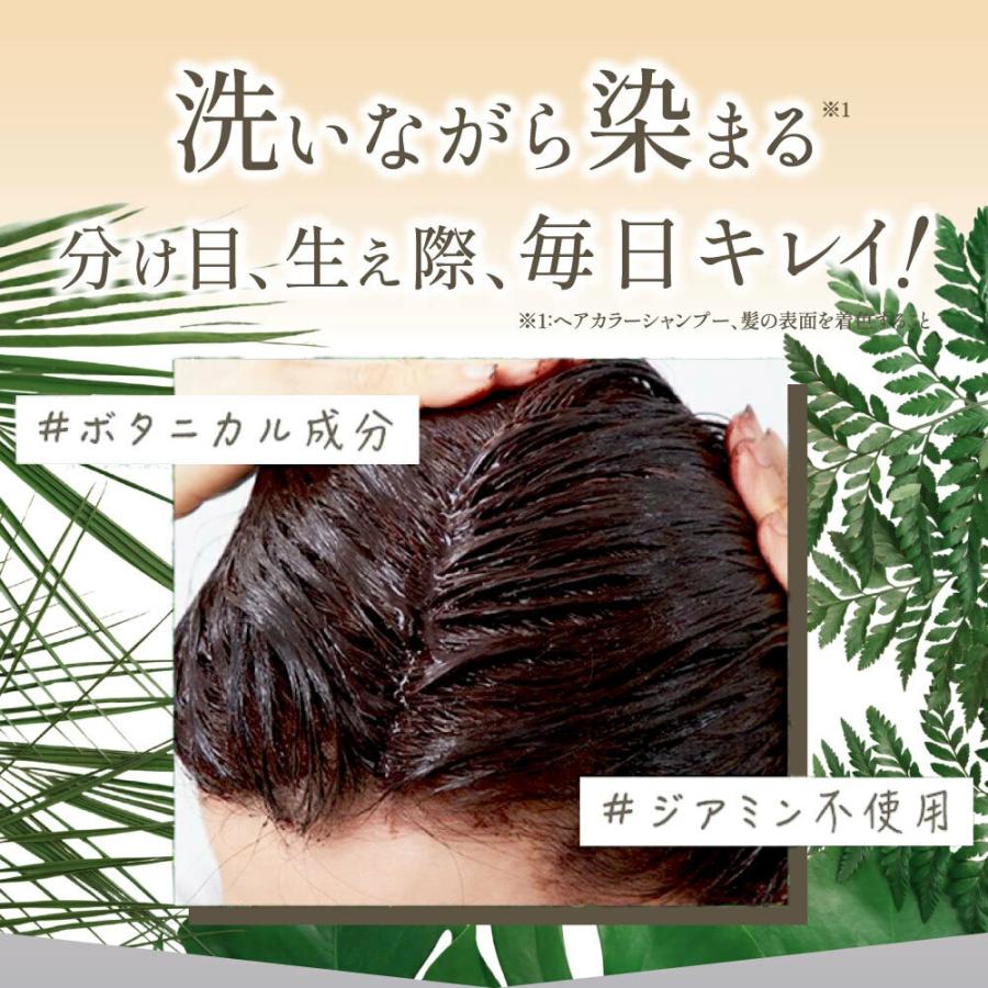 HAIR BEAUTE ECLAT 白髪染め シャンプー カラーシャンプー ヘアボーテ