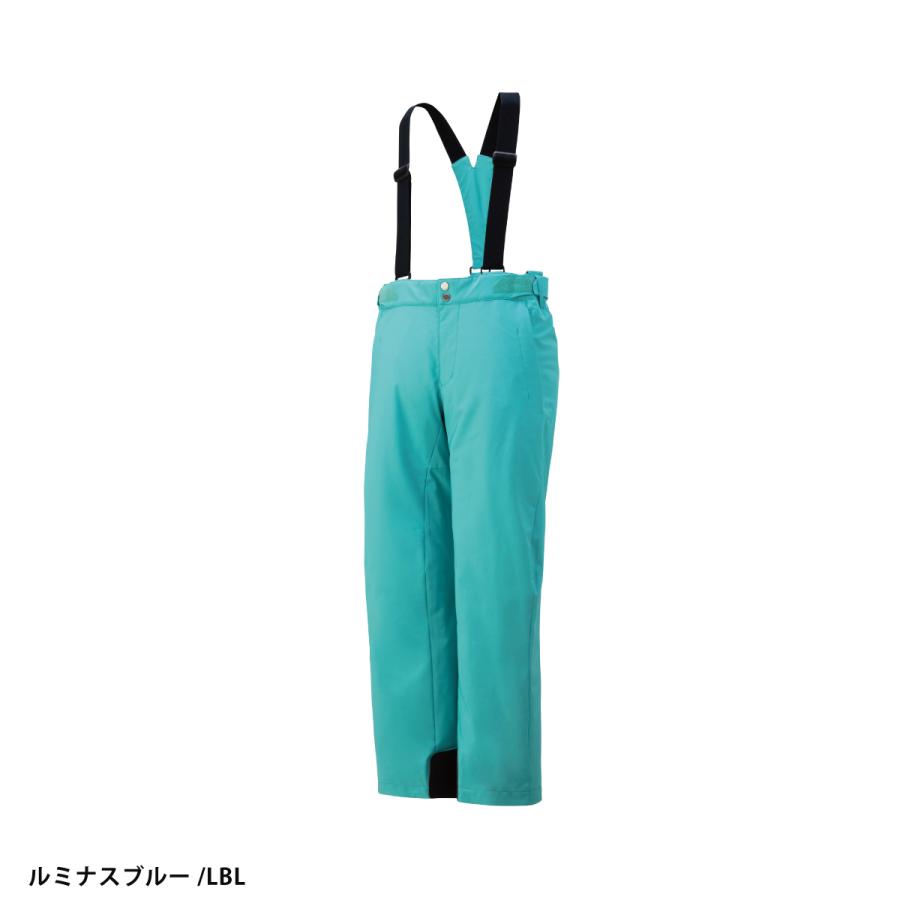 DESCENTE（デサント） スキーウェア スキーパンツ パンツ メンズ