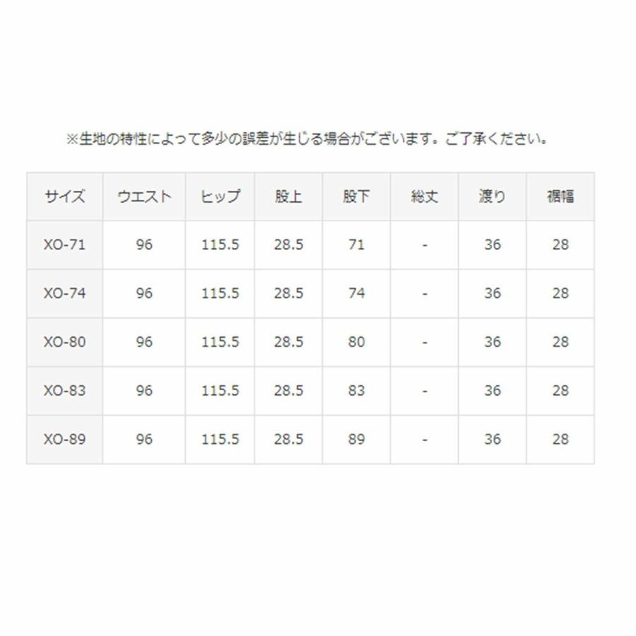 DESCENTE（デサント） スキーウェア スキーパンツ パンツ メンズ