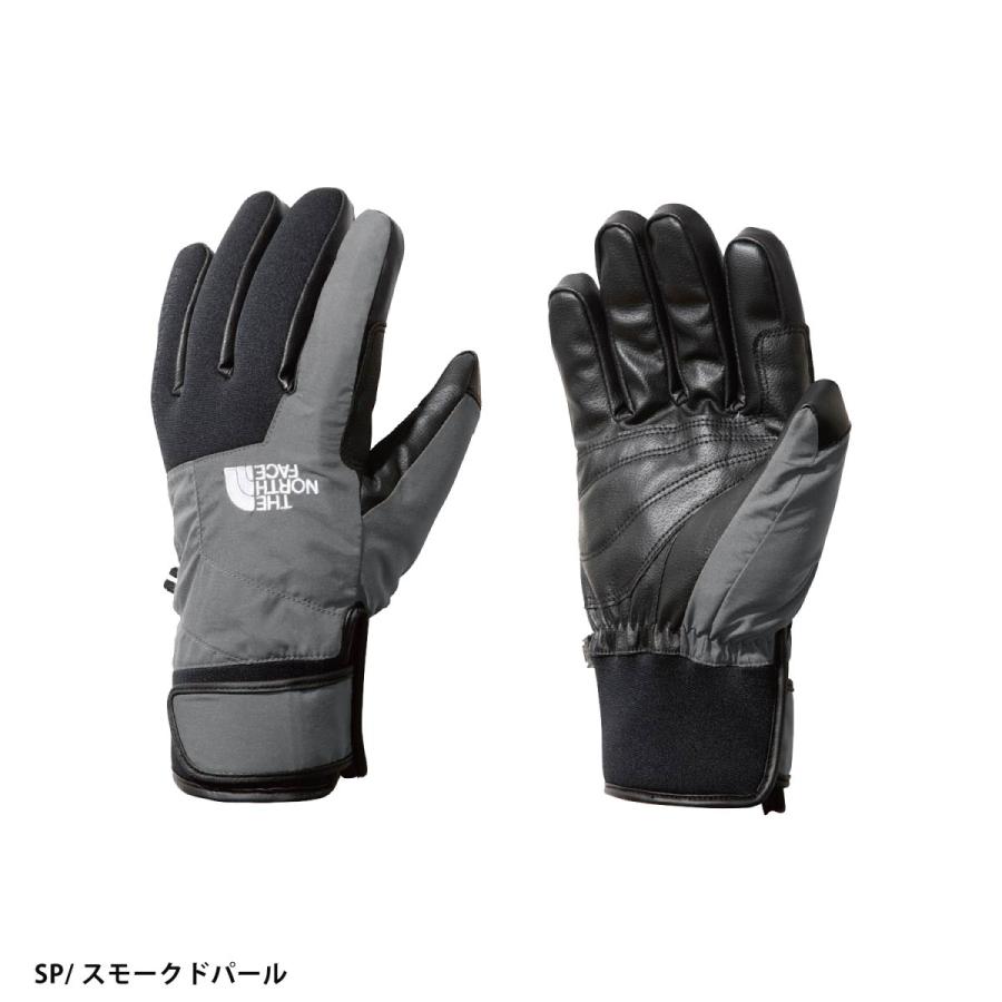 THE NORTH FACE（ザ ノースフェイス） スキー グローブ メンズ