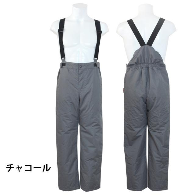 スキーウェア スキーパンツ メンズ バンザート BINZART 大人用