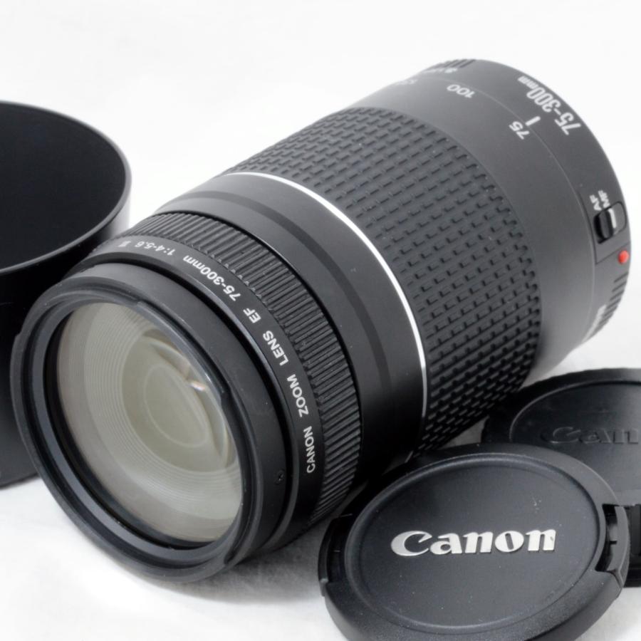Canon純正 75-300mm 望遠レンズ 美品 a5134 Canon純正 75-300mm 望遠