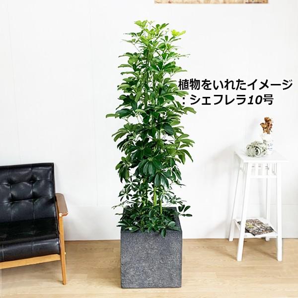 キューブ型 高級鉢カバー 送料無料 観葉植物 おしゃれ 尺鉢 大型 大鉢