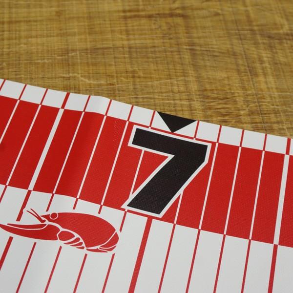 一誠 issei HABAHIROスケールセット パープル レッド 2枚セット