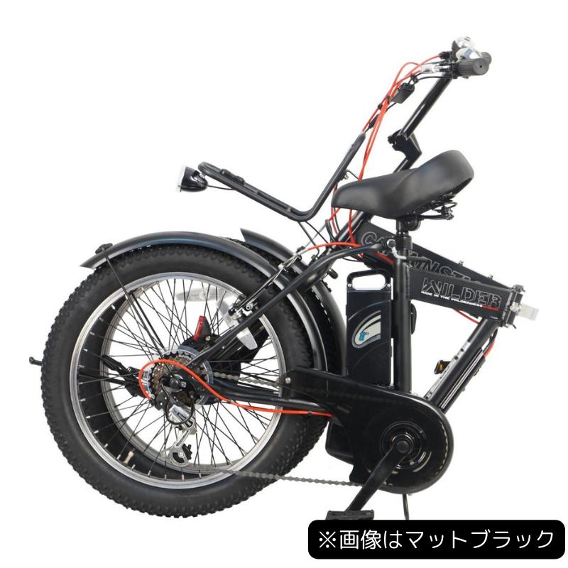 CAPTAIN STAG（キャプテンスタッグ） 電動自転車 eワイルダー 20インチ