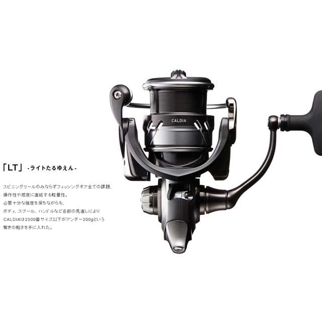DAIWA（ダイワ） カルディア LT1000S-P （18 CALDIA