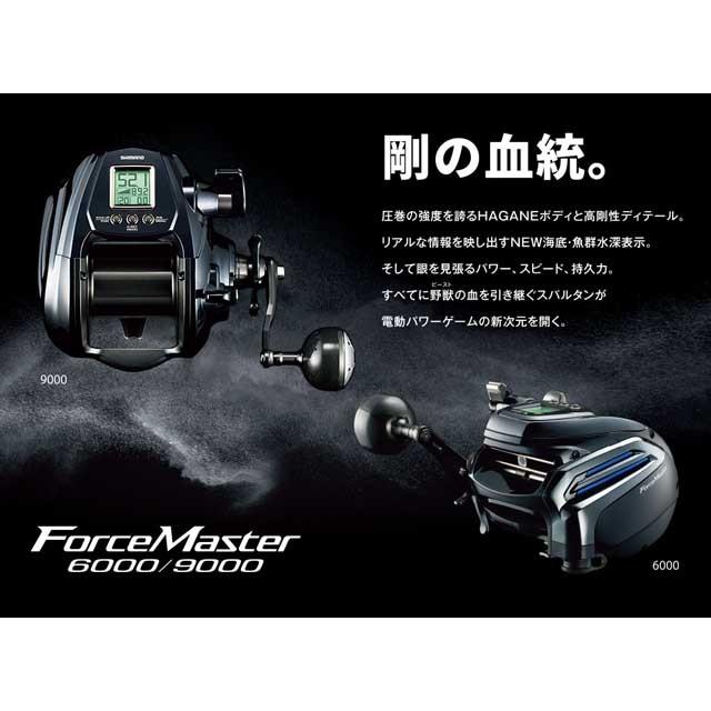 シマノ シマノ／Shimano フォースマスター 6000 （20年