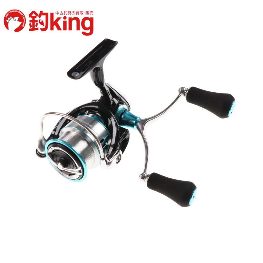 DAIWA（ダイワ） 19 エメラルダスLT 3000S-C-DH /ST034M アオリイカ