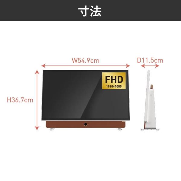 オリオン電気（ドウシシャ） チューナーレステレビ スマートテレビ 24