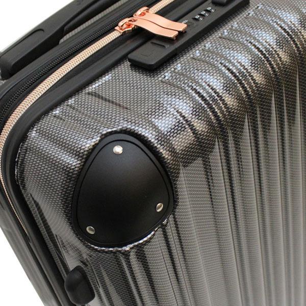 シフレ siffler グリーンワークス GRE2253-55 (52〜60L) 手荷物