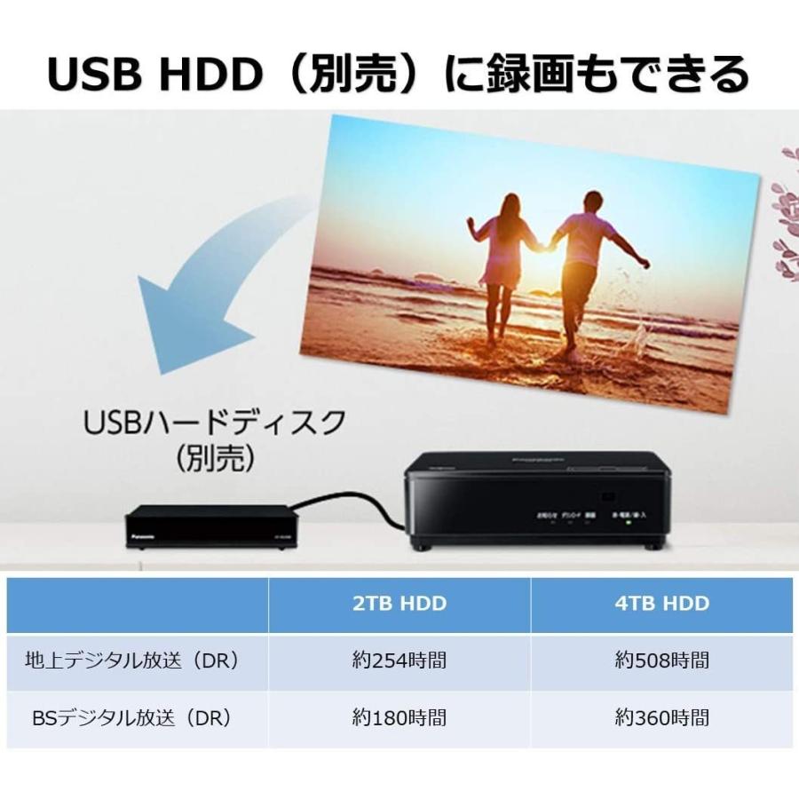 Panasonic（パナソニック） 19V型 ポータブル 液晶テレビ プライベート