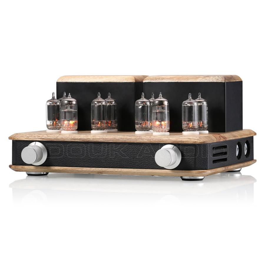 Nobsound HiFi GE5686 6F2 真空管 パワーアンプ ホームステレオ