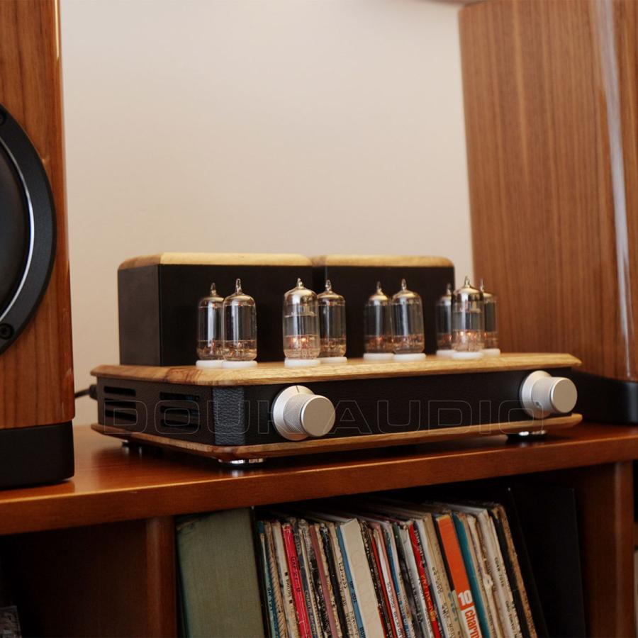 Nobsound HiFi GE5686 6F2 真空管 パワーアンプ ホームステレオ