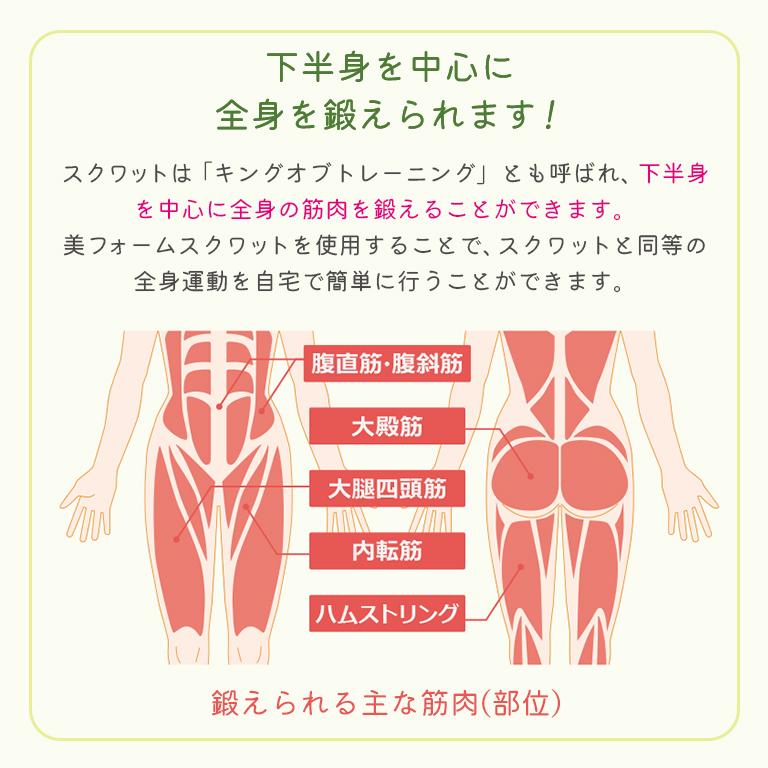 美フォームスクワット 保阪尚希 監修 スクワット 椅子 トレーニング