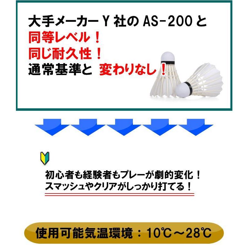 バドミントン シャトル 練習用 10ダース 120球 （初心者 中学生 高校生