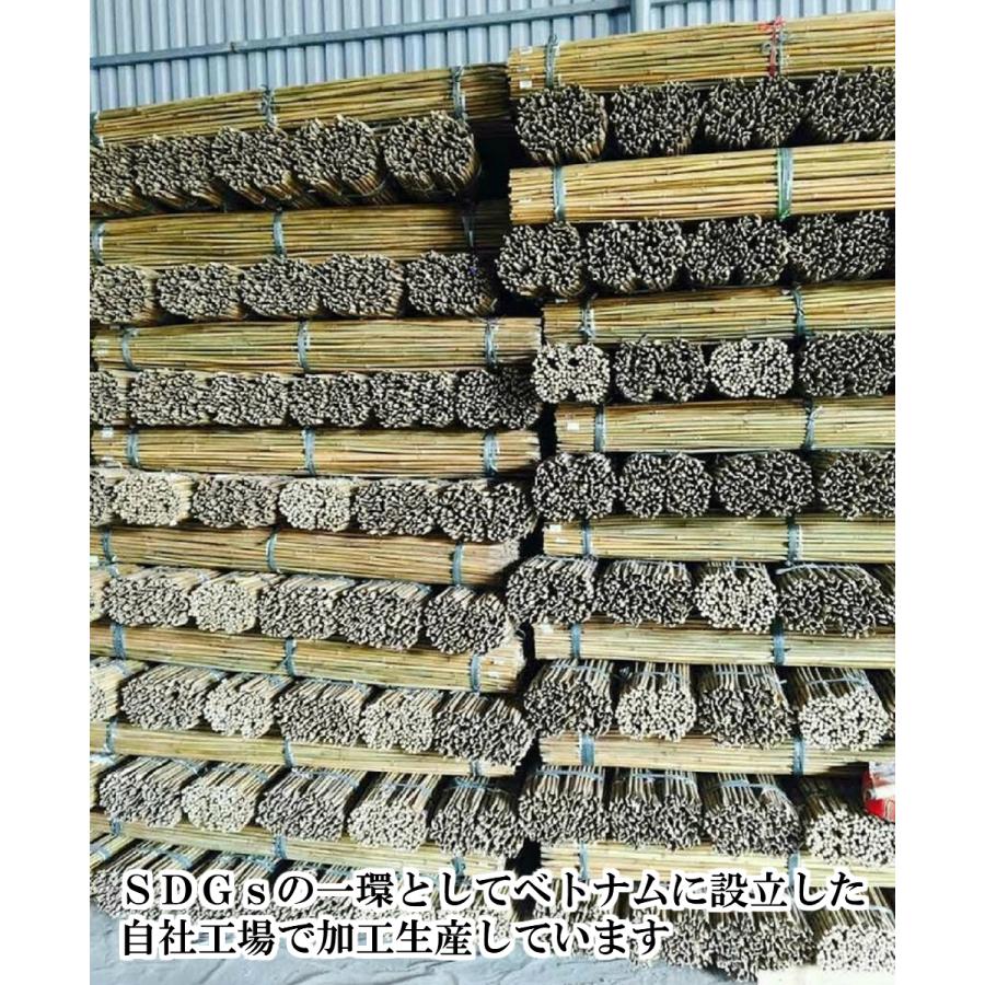 女竹 300cm 5本（太） め竹 めだけ 篠竹 天然竹 建築用 建築資材 造園