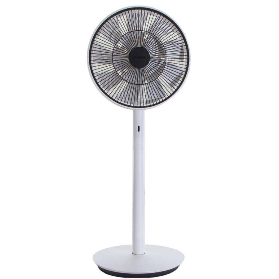 The GreenFan バルミューダ BALMUDA Green Fan グリーンファン 扇風機