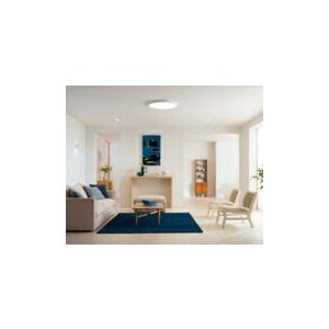 ODELIC（オーデリック） シーリングライト 【OL291363BR】【OL 291