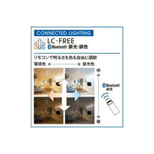 ODELIC（オーデリック） ペンダントライト 【OP252783BR】【OP 252