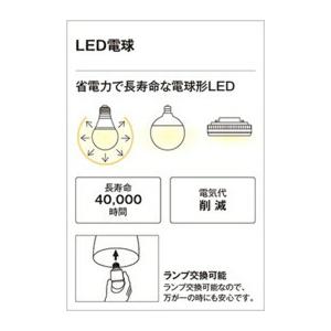 ODELIC（オーデリック） ペンダント 【OP252933LR】【OP 252 933LR