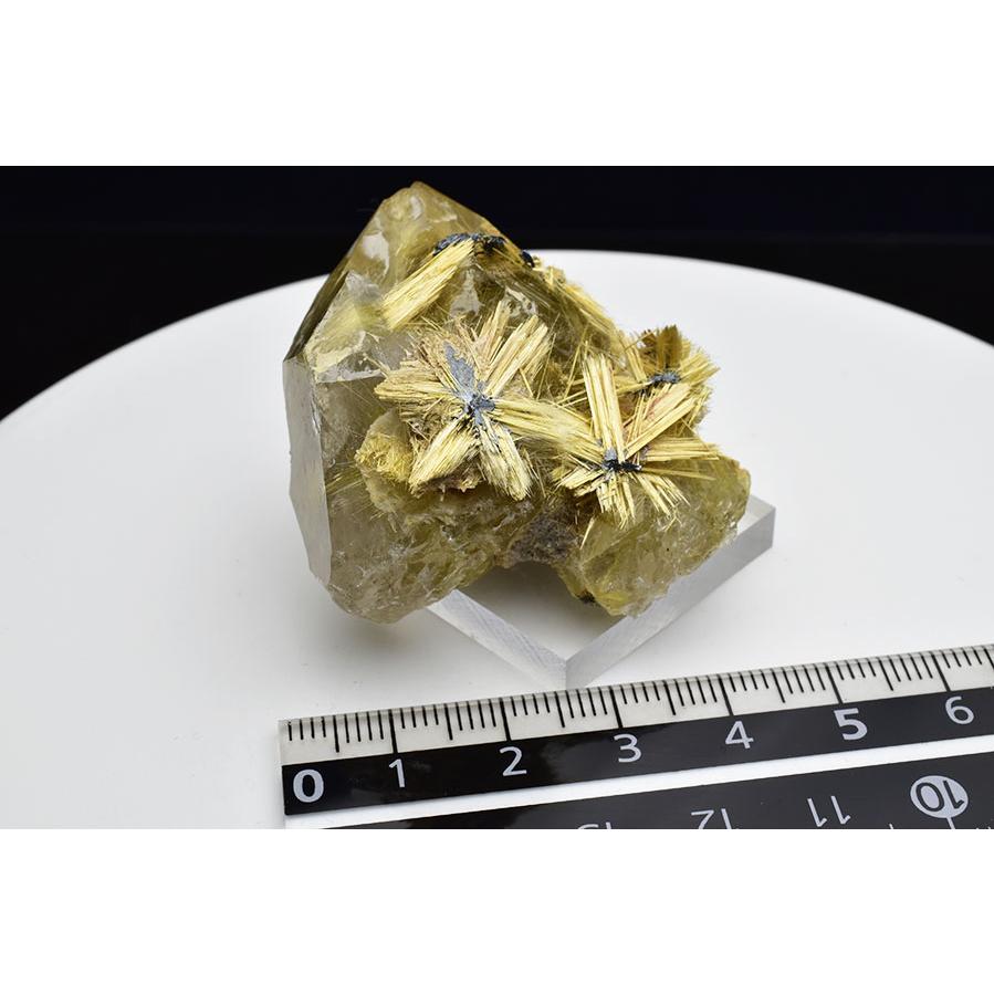 ゴールドルチルクォーツ 太陽ルチル約 (約45.8g) 原石 スターバースト