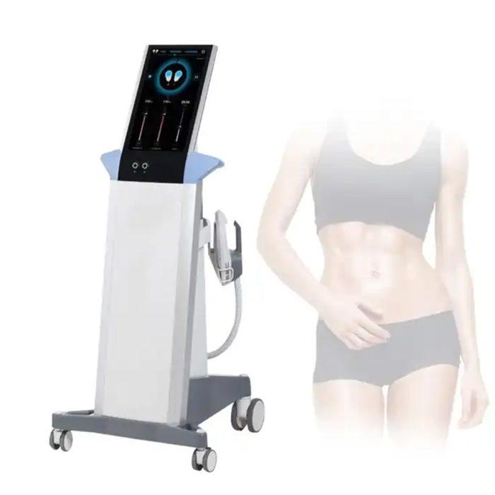 業務用家庭用電磁パルスシェイプマシン、EMT、EMS、ハンドピース2本