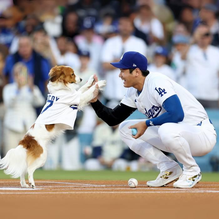MLB公式 NIKE ナイキ 正規品 メンズ 大谷翔平 ロサンゼルス