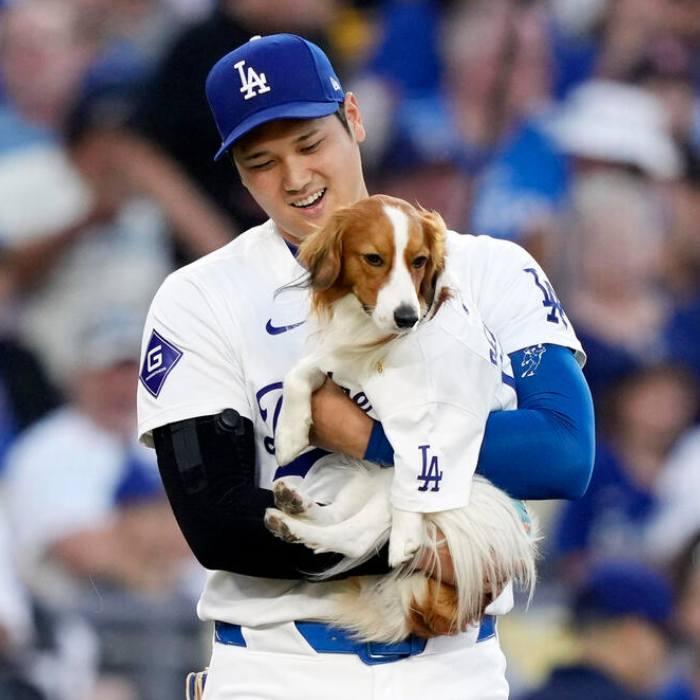 MLB公式 NIKE ナイキ 正規品 メンズ 大谷翔平 ロサンゼルス