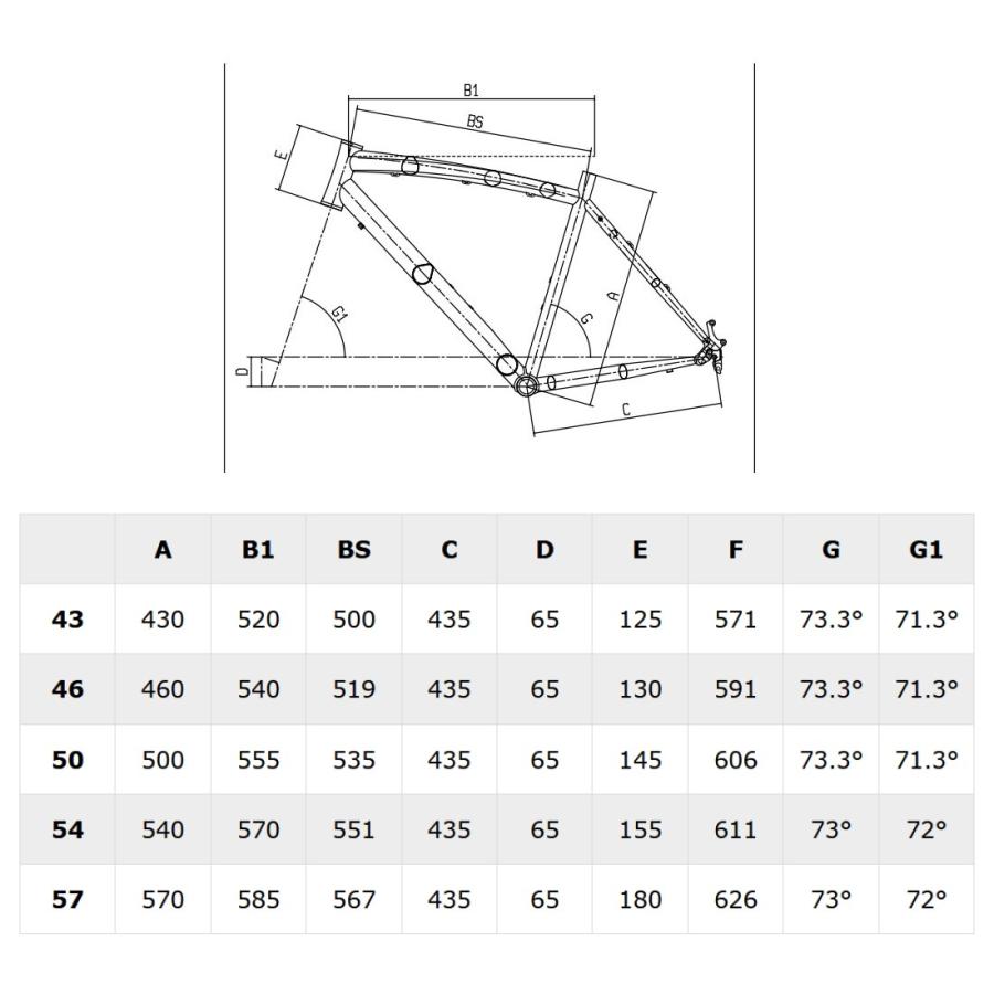 Bianchi（ビアンキ） ROMA 3 DISC ローマ3ディスク ブルーフォレスト