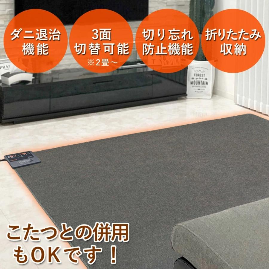 TEKNOS（テクノス） ホットカーペット 2畳 カーペット 本体 電気