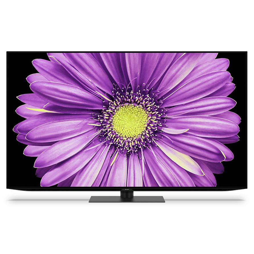 SHARP（シャープ） AQUOS OLED 4T-C65DQ2 [65インチ] 大型配送商品