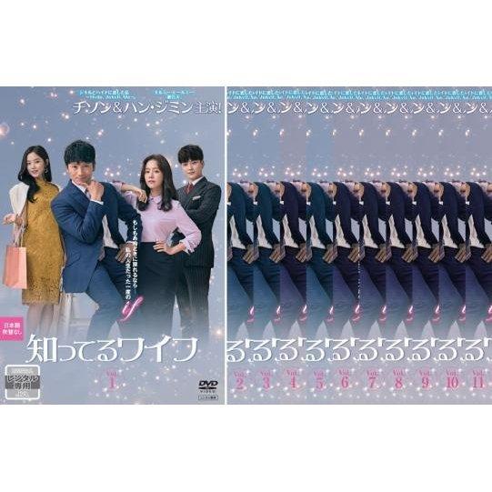 知ってるワイフ 日本編集版 全11枚 第1話〜第22話 最終【字幕