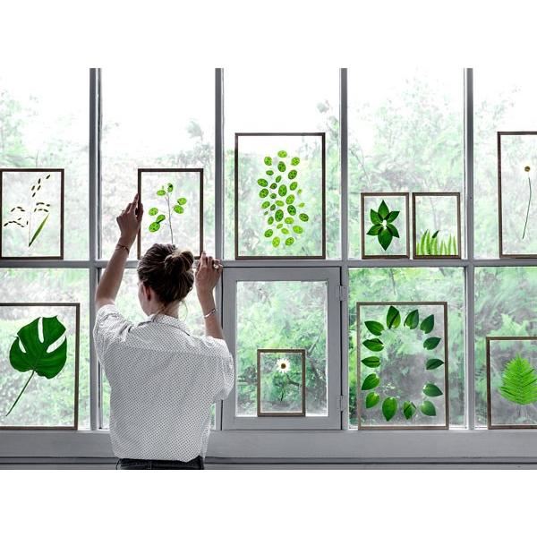 MOEBE 額縁 ポスターフレーム A4 フレーム ムーベ 透明 写真立て