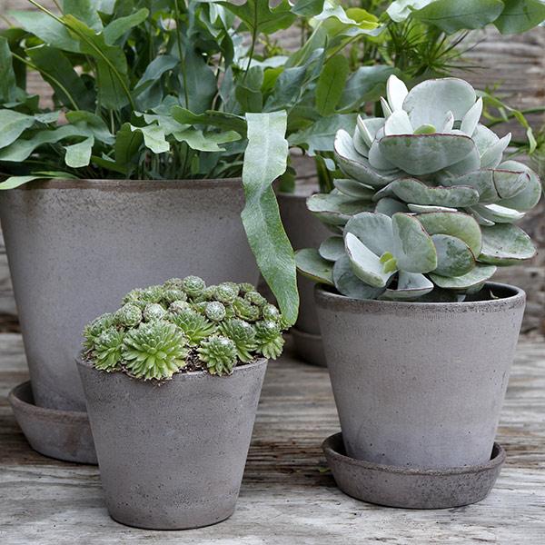 植木鉢 3号 素焼き テラコッタ 受け皿 セット おしゃれ かわいい 底穴