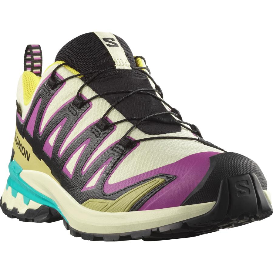 SALOMON（サロモン） SALOMON L47881700 XA PRO 3D V9 GTX カラー