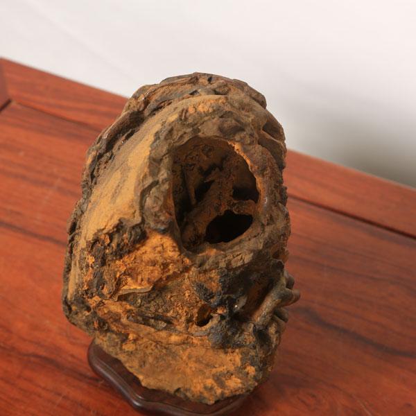 水石：泉州石 ツボ石 現品*資材 せんしゅう : 遊恵盆栽 Yahoo!店