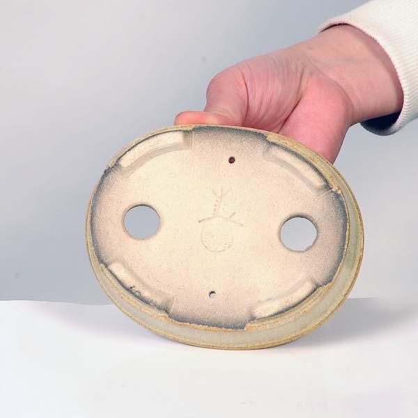 盆栽小鉢：真山（まざん）楕円鉢 13.7cm 【現品】 : 遊恵盆栽 Yahoo!店