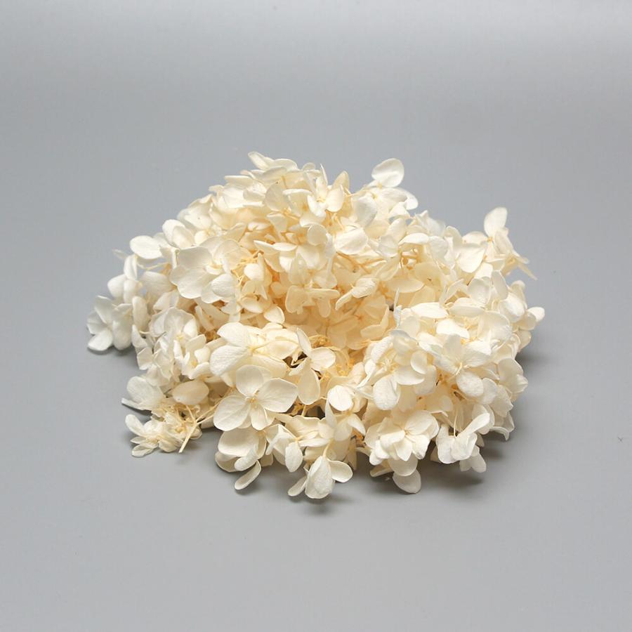 プリザーブドフラワー 花材 即日出荷 ピラミッドアジサイ オフホワイト