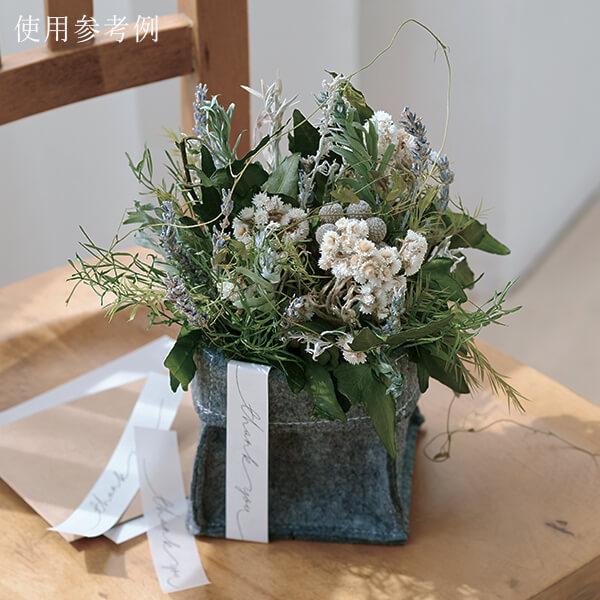 ドライフラワー 花材 即日出荷 シルバーブルニア ウオッシュホワイト